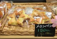 まるごとにっぽんの写真・動画_image_82583