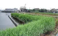旧東海道（熱田・宮宿）の写真・動画_image_82595
