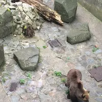 チェスキー クルムロフの写真・動画_image_82597