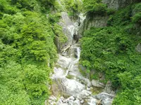 白山白川郷ホワイトロードの写真・動画_image_82661