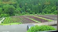 土井志ば漬本舗の写真・動画_image_82686