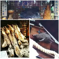 護王神社の写真・動画_image_82735