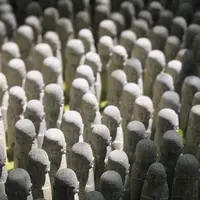 長谷寺の写真・動画_image_827384