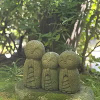 長谷寺の写真・動画_image_827385