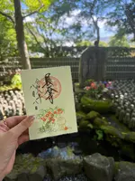 長谷寺の写真・動画_image_827386