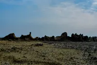 沢崎６６３の写真・動画_image_82898