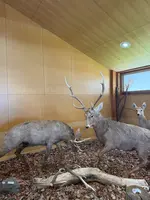 洞爺湖ビジターセンター・火山科学館の写真・動画_image_829345
