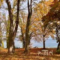 十和田湖の写真・動画_image_830328