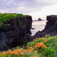 小田の写真・動画_image_83048