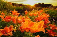 小田の写真・動画_image_83049