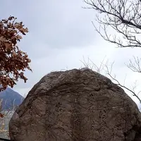 跳坂・Ｚ坂の写真・動画_image_83064