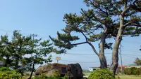 藻浦崎公園の写真・動画_image_83067