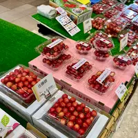 やまがた酒巡り Chetto（県産酒・県産ワイン試飲コーナー）の写真・動画_image_831183