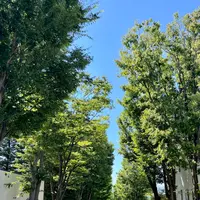 マンズワイン小諸ワイナリーの写真・動画_image_831237