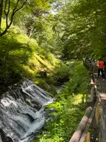 白糸の滝の写真・動画_image_831268