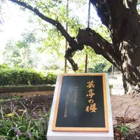 県立神奈川近代文学館の写真・動画_image_83152