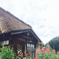 五箇山の写真・動画_image_83162