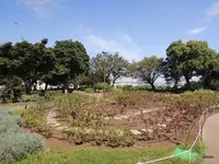大佛次郎記念館の写真・動画_image_83187