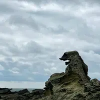 ゴジラ岩の写真・動画_image_832023