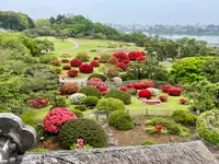 偕楽園の写真・動画_image_832972