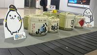 新潟空港の写真・動画_image_833185