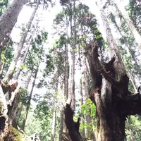２１世紀の森公園の写真・動画_image_83460
