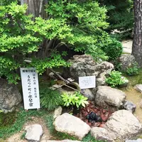 うだつが上がる美濃の町並みの写真・動画_image_83461