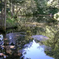摩周湖の写真・動画_image_83478