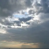 クリオネの写真・動画_image_83479