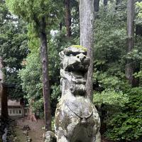 彌彦神社の写真・動画_image_834813