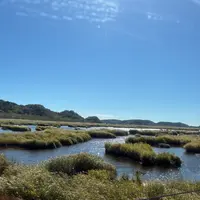 花咲線の写真・動画_image_836316
