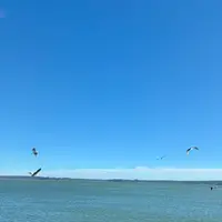 花咲線の写真・動画_image_836320