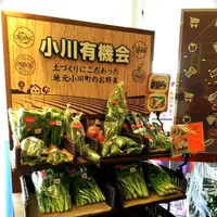 ヤオコー 小川ショッピングセンターの写真・動画_image_83647
