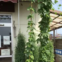 麦雑穀工房 マイクロブルワリーの写真・動画_image_83681
