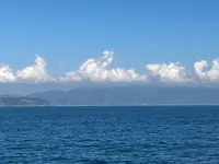 徳島港フェリーのりば（和歌山港ゆき）の写真・動画_image_837257