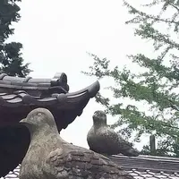 麦雑穀工房 マイクロブルワリーの写真・動画_image_83769