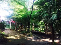 滝の根公園の写真・動画_image_83859