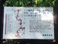 滝の根公園の写真・動画_image_83861