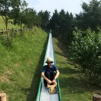仙元山見晴らしの丘公園の写真・動画_image_83887