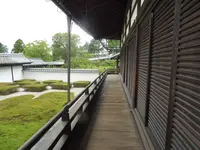 東福寺の写真・動画_image_83955