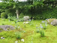 天得院の写真・動画_image_84129