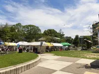 岡東中央公園の写真・動画_image_84196