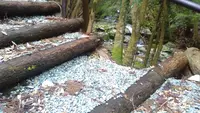 黒土の滝の写真・動画_image_84204