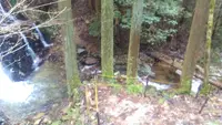 黒土の滝の写真・動画_image_84205