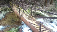 黒土の滝の写真・動画_image_84206