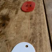 人形町食事処築地のマルショウの写真・動画_image_84252