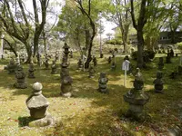 杵築城の写真・動画_image_84384