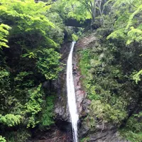 秩父華厳の滝の写真・動画_image_84438