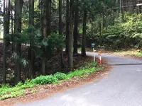 天空の学校の写真・動画_image_84440