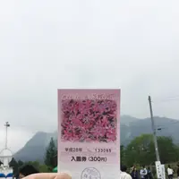 羊山公園の写真・動画_image_84447